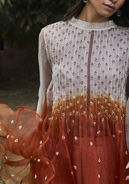 Rust Embroidered Handwoven Organza Tunic Set